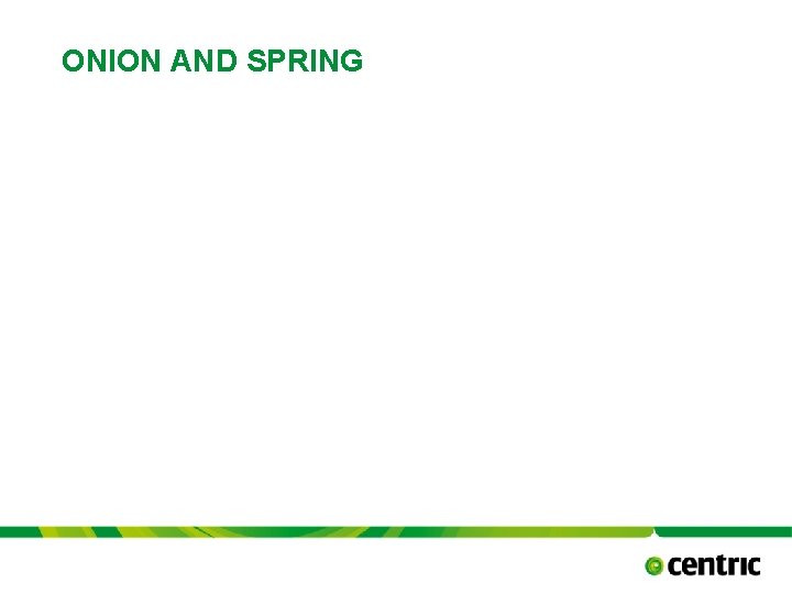 ONION AND SPRING TITLE PRESENTATION October 17, 2021 