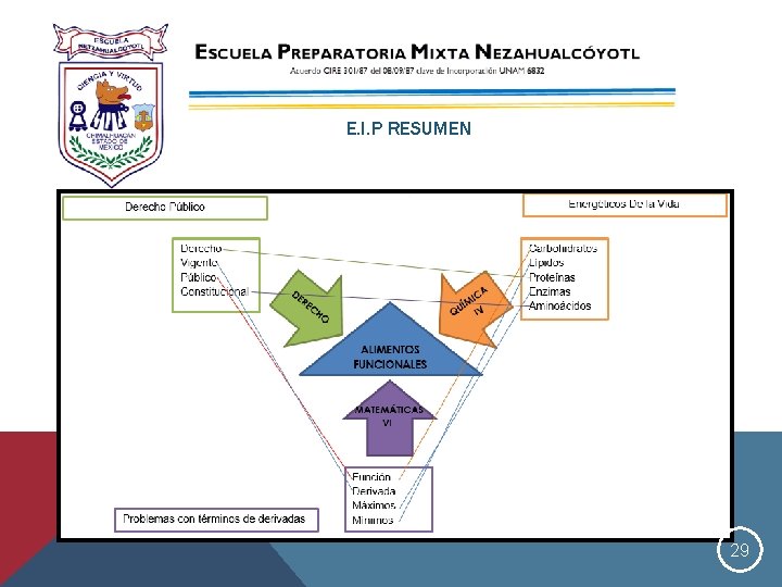 E. I. P RESUMEN 29 