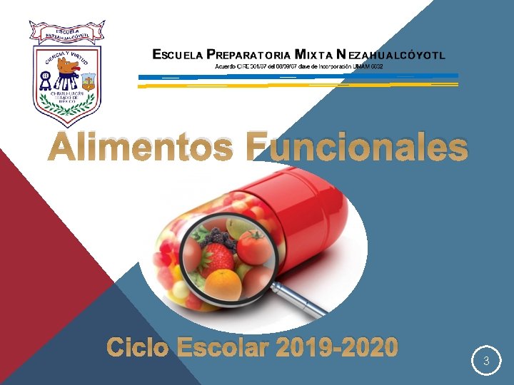 Alimentos Funcionales Ciclo Escolar 2019 -2020 3 