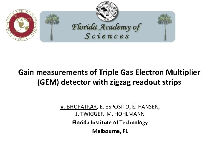 Gain measurements of Triple Gas Electron Multiplier (GEM) detector with zigzag readout strips V.