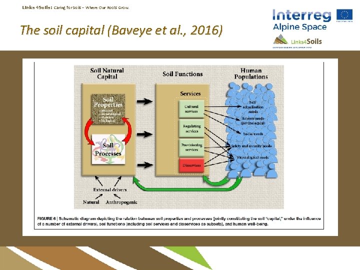 Links 4 Soils: Caring for Soils ‒ Where Our Roots Grow. The soil capital