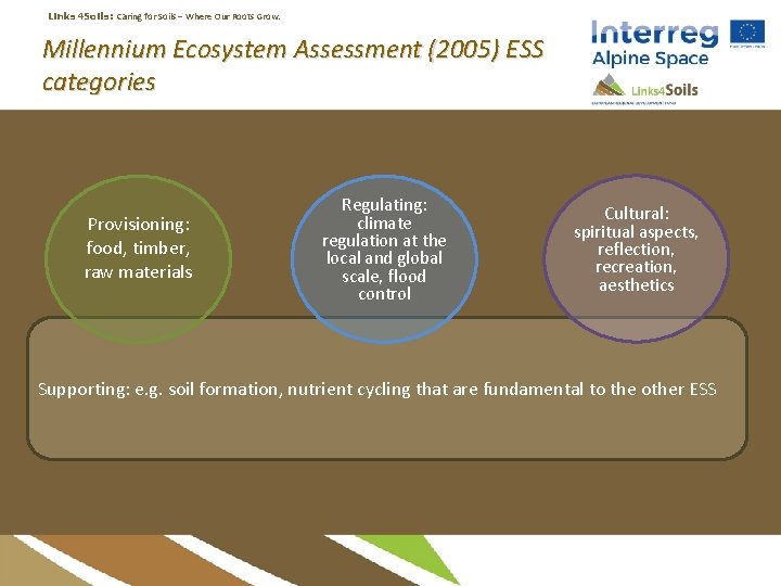 Links 4 Soils: Caring for Soils ‒ Where Our Roots Grow. Millennium Ecosystem Assessment