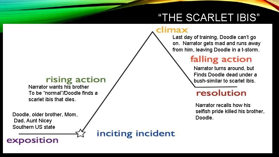 “THE SCARLET IBIS” Last day of training, Doodle can’t go on. Narrator gets mad