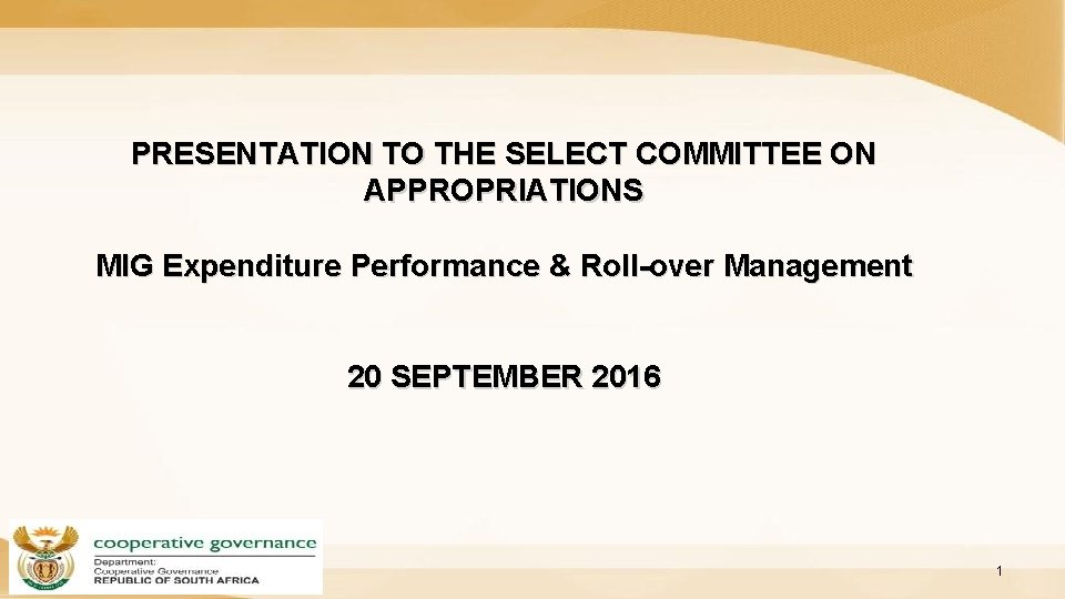 PRESENTATION TO THE SELECT COMMITTEE ON APPROPRIATIONS MIG Expenditure Performance & Roll-over Management 20