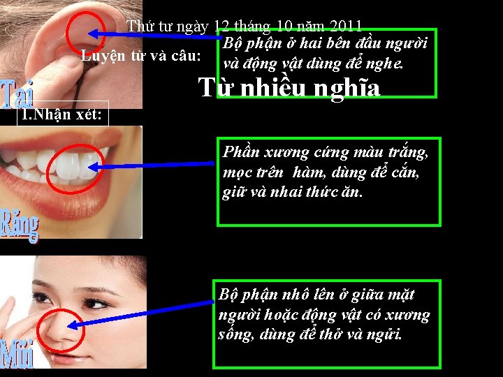 Thứ tư ngày 12 tháng 10 năm 2011 Bộ phận ở hai bên đầu