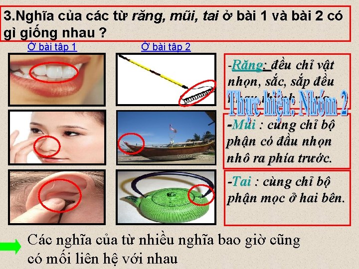3. Nghĩa của các từ răng, mũi, tai ở bài 1 và bài 2
