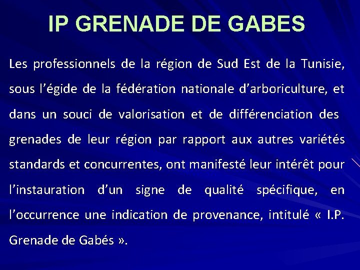 IP GRENADE DE GABES Les professionnels de la région de Sud Est de la