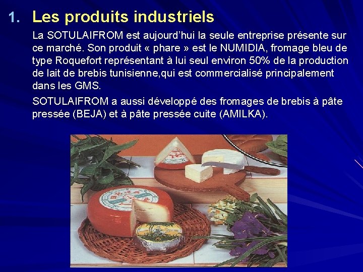 1. Les produits industriels La SOTULAIFROM est aujourd’hui la seule entreprise présente sur ce