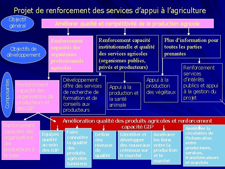 Projet de renforcement des services d’appui à l’agriculture Objectif général Composantes Objectifs de développement