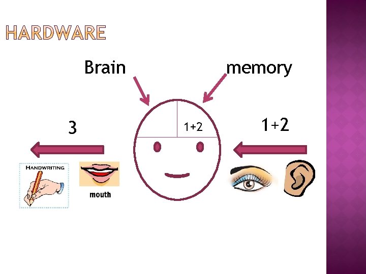 memory Brain 3 1+2 