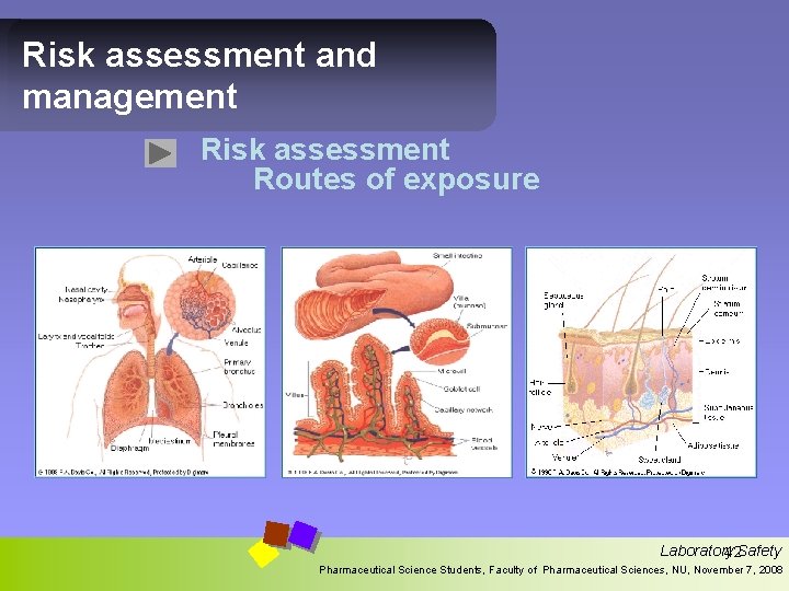 Risk assessment and management Risk assessment Routes of exposure Laboratory 42 Safety Pharmaceutical Science