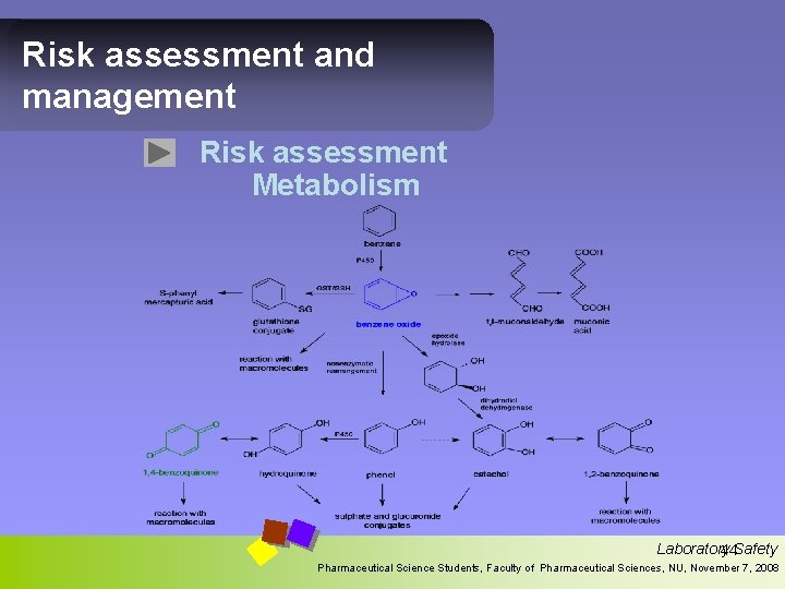 Risk assessment and management Risk assessment Metabolism Laboratory 44 Safety Pharmaceutical Science Students, Faculty