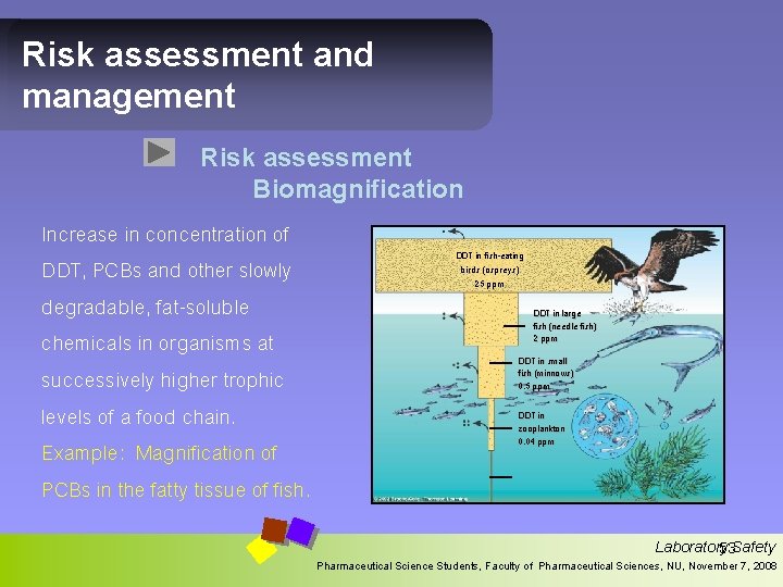 Risk assessment and management Risk assessment Biomagnification Increase in concentration of DDT, PCBs and