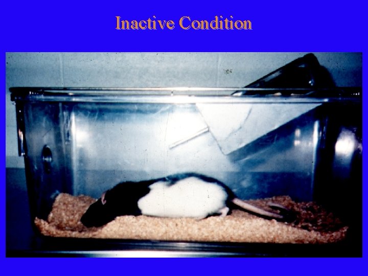 Inactive Condition 