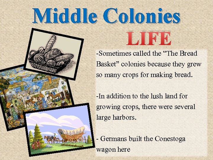 Middle Colonies LIFE -Sometimes called the “The Bread Basket” colonies because they grew so