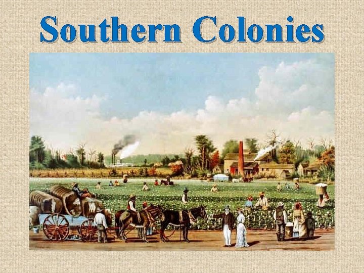 Southern Colonies 