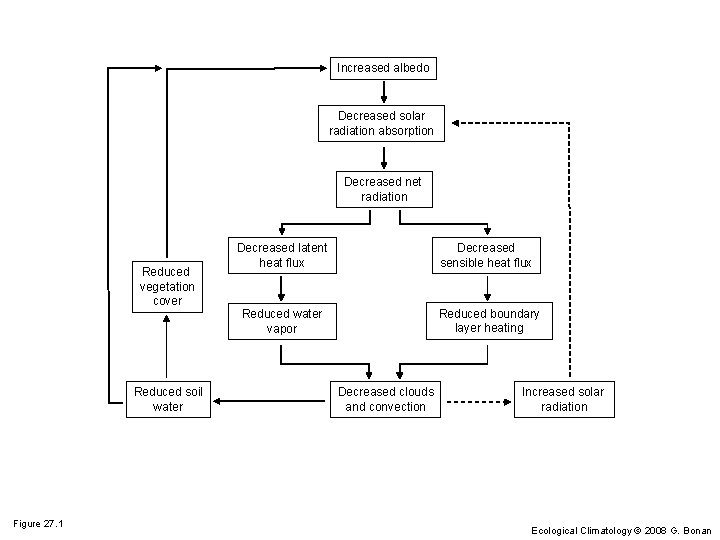Increased albedo Decreased solar radiation absorption Decreased net radiation Reduced vegetation cover Reduced soil