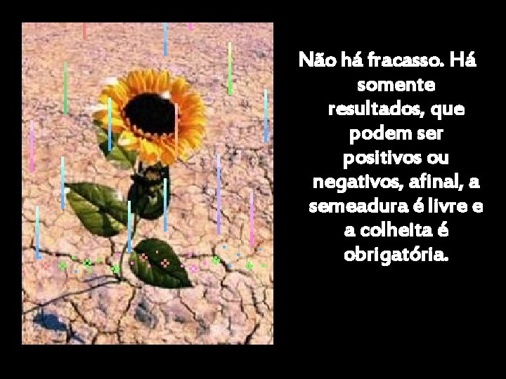 Não há fracasso. Há somente resultados, que podem ser positivos ou negativos, afinal, a
