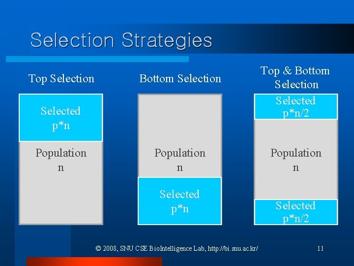 Selection Strategies Top Selection Bottom Selection Selected p*n Population n Selected p*n © 2008, Selection Strategies Top Selection Bottom Selection Selected p*n Population n Selected p*n © 2008,