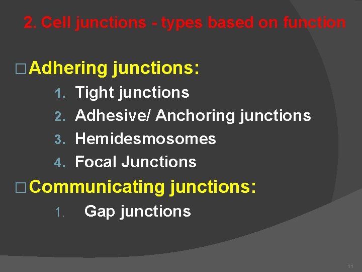2. Cell junctions - types based on function � Adhering junctions: Tight junctions 2.