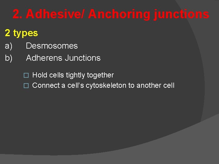 2. Adhesive/ Anchoring junctions 2 types a) b) Desmosomes Adherens Junctions Hold cells tightly