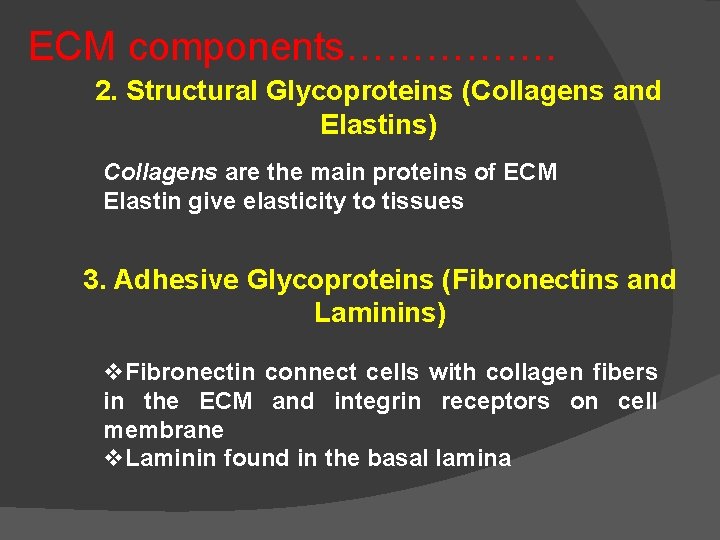 ECM components……………. 2. Structural Glycoproteins (Collagens and Elastins) Collagens are the main proteins of