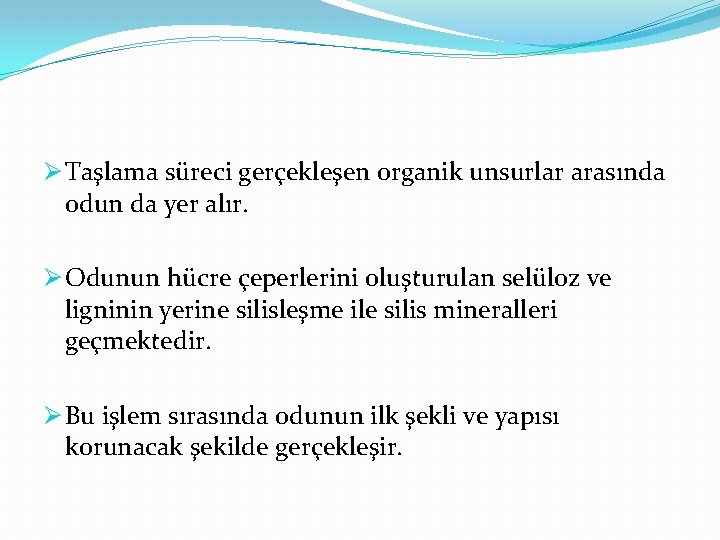 Ø Taşlama süreci gerçekleşen organik unsurlar arasında odun da yer alır. Ø Odunun hücre