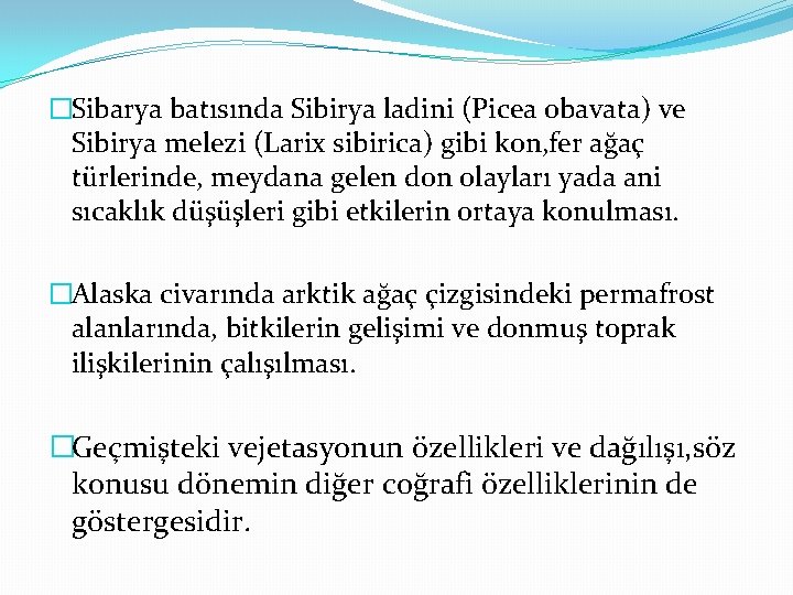 �Sibarya batısında Sibirya ladini (Picea obavata) ve Sibirya melezi (Larix sibirica) gibi kon, fer