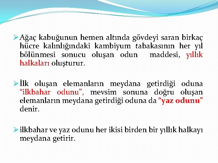 Ø Ağaç kabuğunun hemen altında gövdeyi saran birkaç hücre kalınlığındaki kambiyum tabakasının her yıl