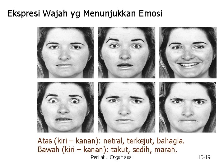Ekspresi Wajah yg Menunjukkan Emosi Atas (kiri – kanan): netral, terkejut, bahagia. Bawah (kiri
