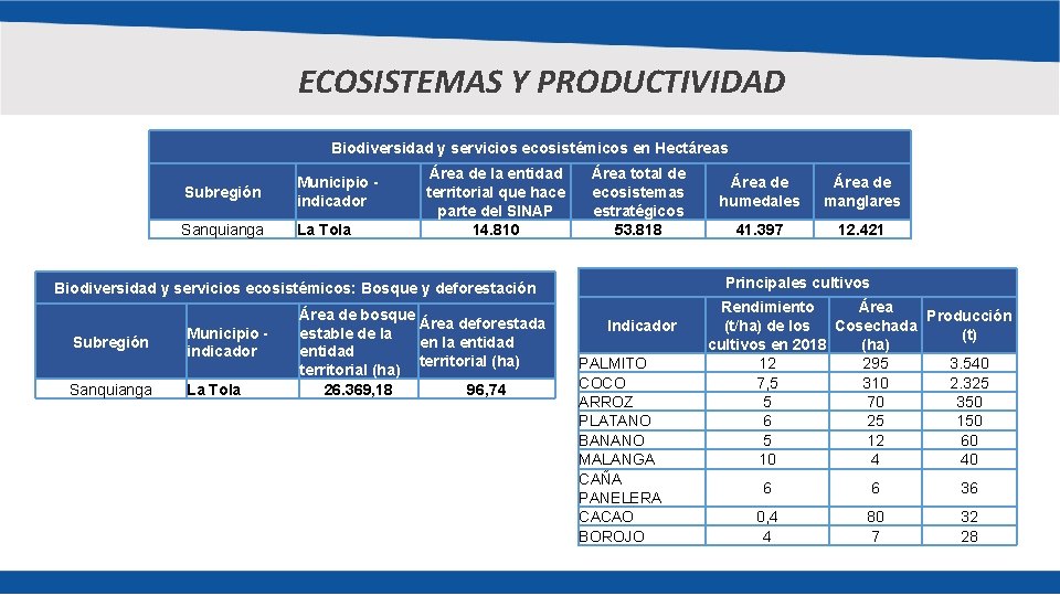 ECOSISTEMAS Y PRODUCTIVIDAD Biodiversidad y servicios ecosistémicos en Hectáreas Subregión Municipio indicador Sanquianga La