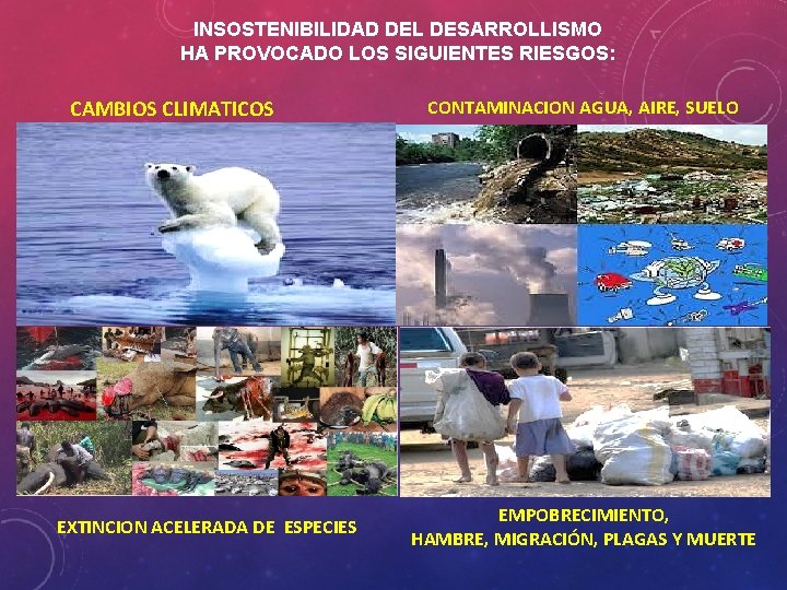 INSOSTENIBILIDAD DEL DESARROLLISMO HA PROVOCADO LOS SIGUIENTES RIESGOS: CAMBIOS CLIMATICOS EXTINCION ACELERADA DE ESPECIES