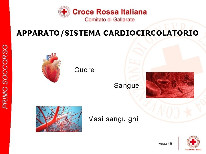 PRIMO SOCCORSO APPARATO/SISTEMA CARDIOCIRCOLATORIO Cuore Sangue Vasi sanguigni 