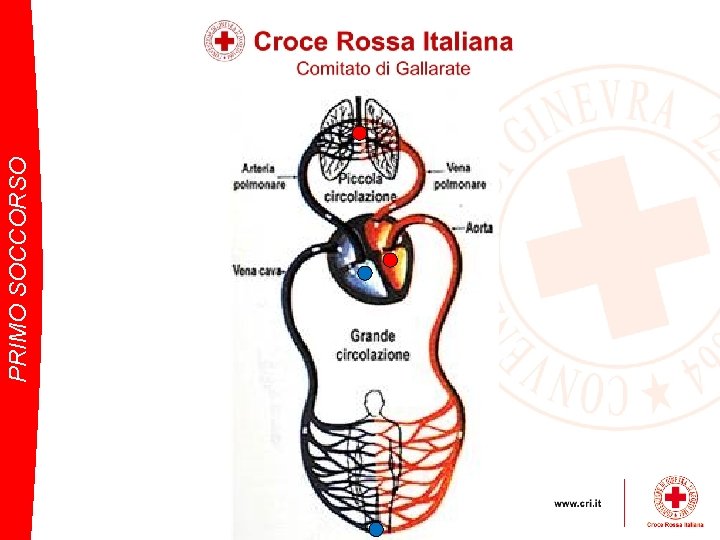 PRIMO SOCCORSO 