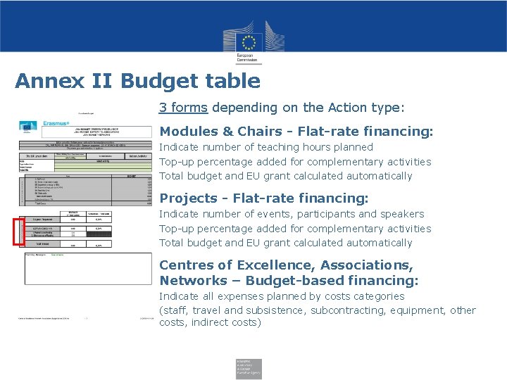 Annex II Budget table 3 forms depending on the Action type: Modules & Chairs