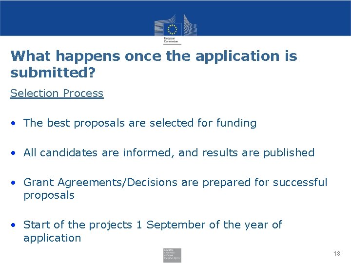 What happens once the application is submitted? Selection Process • The best proposals are