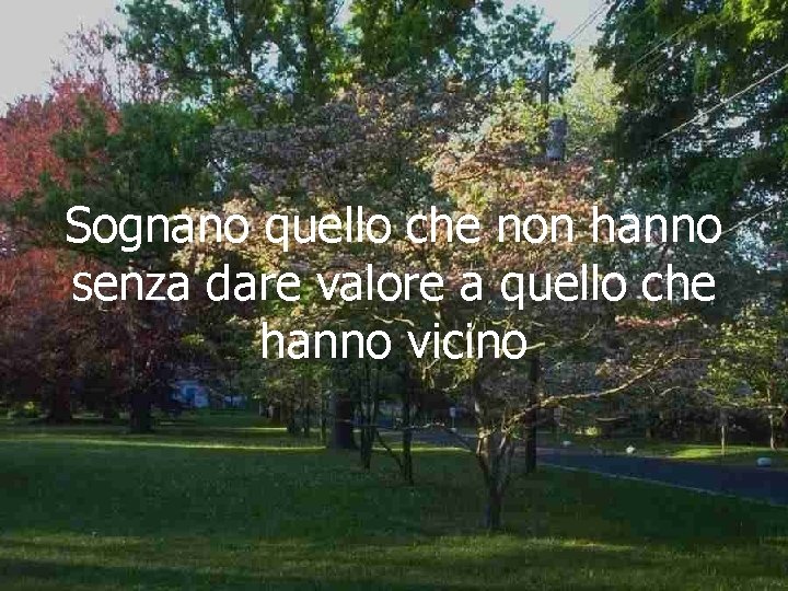 Sognano quello che non hanno senza dare valore a quello che hanno vicino 