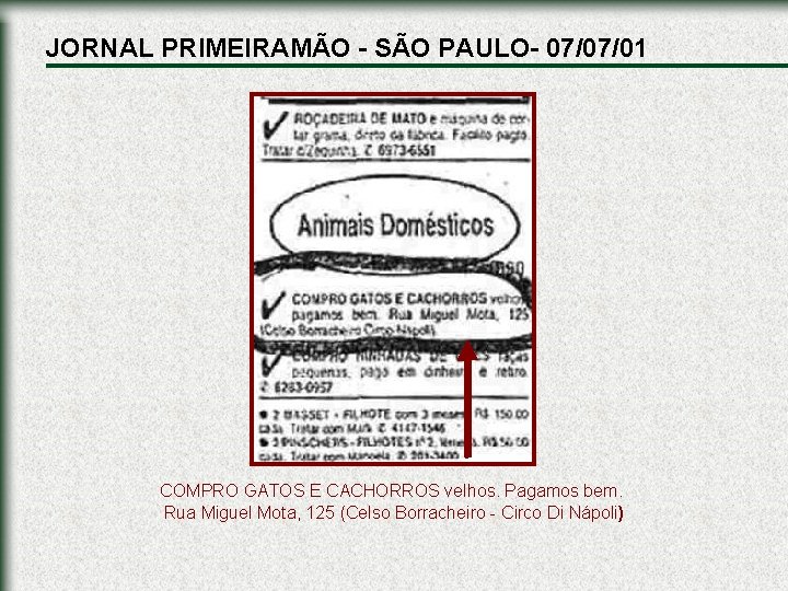 JORNAL PRIMEIRAMÃO - SÃO PAULO- 07/07/01 COMPRO GATOS E CACHORROS velhos. Pagamos bem. Rua