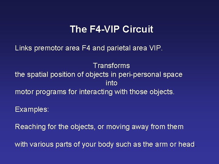 The F 4 -VIP Circuit Links premotor area F 4 and parietal area VIP.