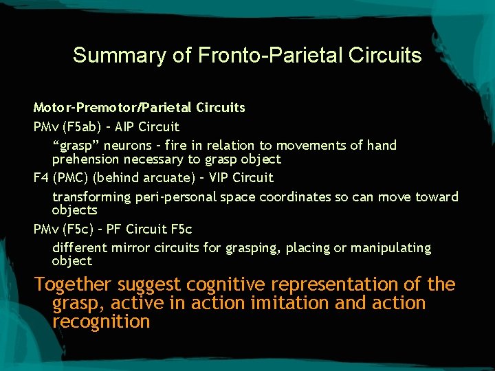 Summary of Fronto-Parietal Circuits Motor-Premotor/Parietal Circuits PMv (F 5 ab) – AIP Circuit “grasp”