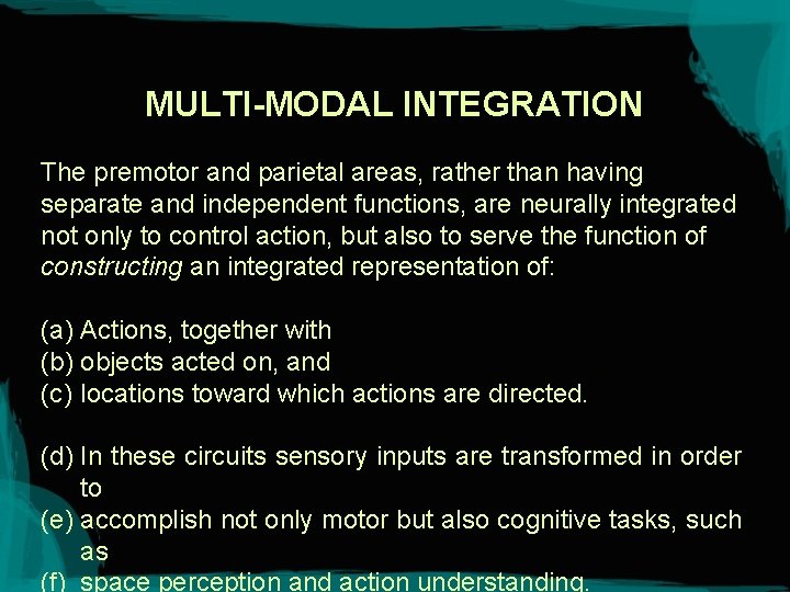 MULTI-MODAL INTEGRATION The premotor and parietal areas, rather than having separate and independent functions,