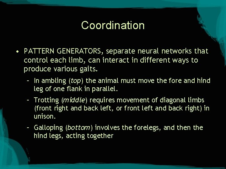 Coordination • PATTERN GENERATORS, separate neural networks that control each limb, can interact in