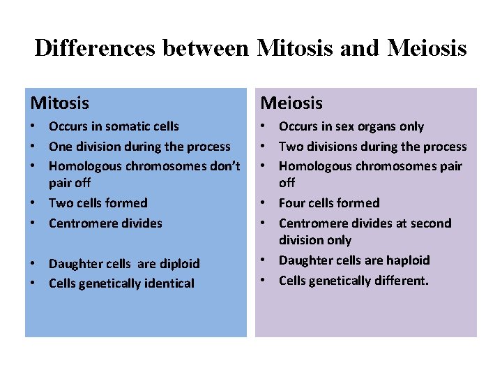 Differences between Mitosis and Meiosis Mitosis Meiosis • Occurs in somatic cells • One