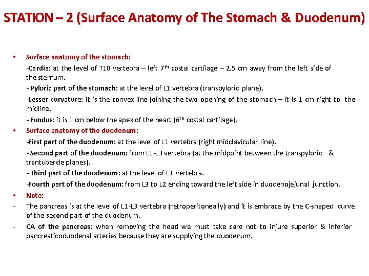 STATION – 2 (Surface Anatomy of The Stomach & Duodenum) • • • -
