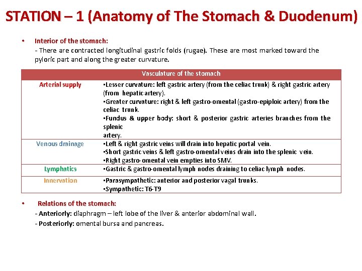 STATION – 1 (Anatomy of The Stomach & Duodenum) • Interior of the stomach: