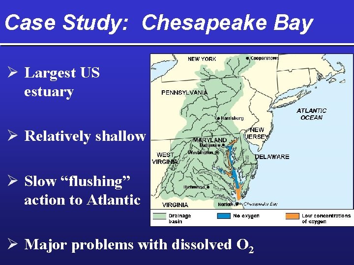 Case Study: Chesapeake Bay Ø Largest US estuary Ø Relatively shallow Ø Slow “flushing”