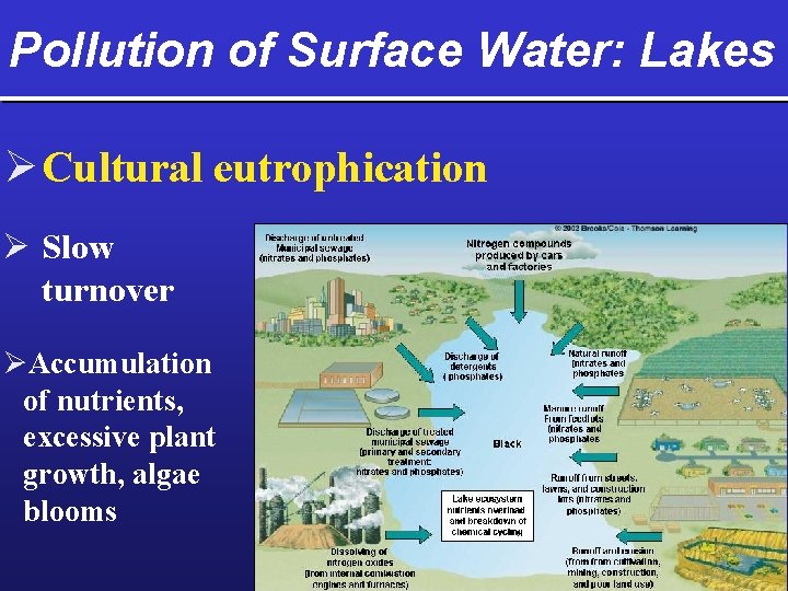 Pollution of Surface Water: Lakes Ø Cultural eutrophication Ø Slow turnover ØAccumulation of nutrients,