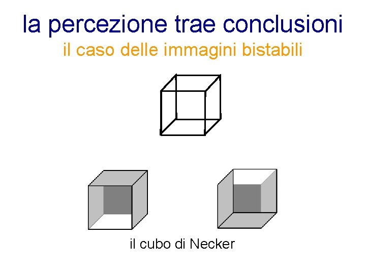la percezione trae conclusioni il caso delle immagini bistabili il cubo di Necker 