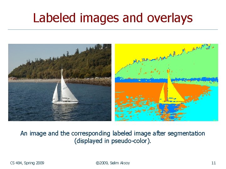 Labeled images and overlays An image and the corresponding labeled image after segmentation (displayed