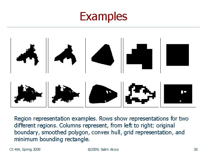 Examples Region representation examples. Rows show representations for two different regions. Columns represent, from